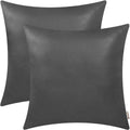 Faux Leather Throw Pillow Covers 22 X 22 Inches - Charcoal Gray Leather Pilow Covers Pack of 2, Solid Dyed Leather Pillowcases for Couch Bed Sofa Garden Home Decorative